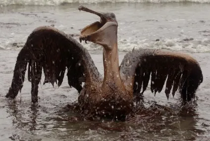 Чи багато води потрібно людині (води) Чи багато води потрібно людині