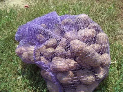 Ми живемо в селі, тому у нас свій город (город) Ми живемо в селі, тому у нас свій город