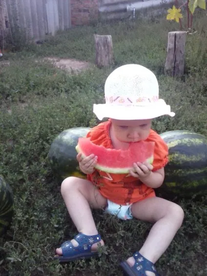 Ми живемо в селі, тому у нас свій город (город) Ми живемо в селі, тому у нас свій город
