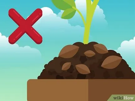Как да се отървем от мухъл за стайни растения