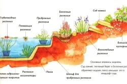 Как да се издигне до езерото в земеделие зеленина страна и риба