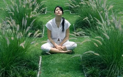 Hogyan végezzen meditáció, akit nap otthon