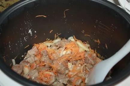Cum de a găti risotto clare cu carne de pui, carne de porc în multivarka Redmond și tehnologie de alte marci