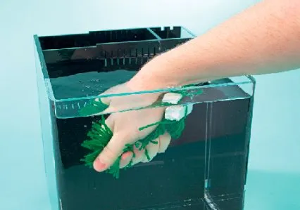 Hogyan készítsünk mesterséges növények (szubsztrátum) az ívási hal a kezüket