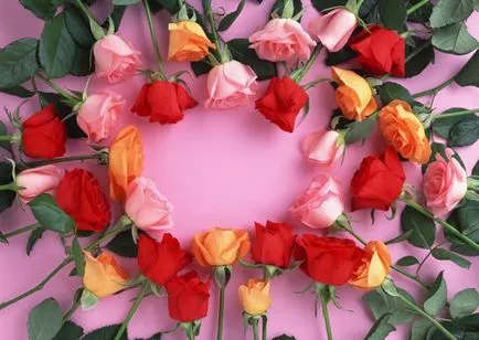 Hogyan kell tartani rózsa él - a tárolás körülményeit virágok - hasznos tippek