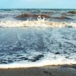 Як з Одессаа доїхати в ярину (ярина) Як з Одессаа доїхати в ярину