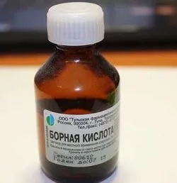 Як позбутися від мурашок на грядках, народні засоби (народні) Як позбутися від мурашок на грядках, народні засоби
