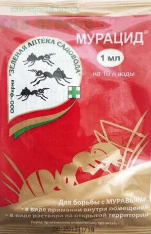 Як позбутися від мурашок на грядках, народні засоби (головного компонента виступає) Як позбутися від мурашок на грядках, народні засоби