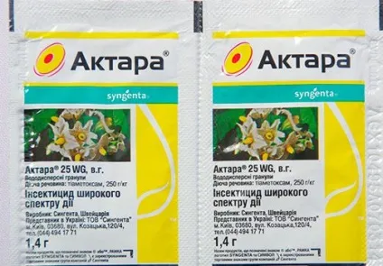 Як позбутися від мурашок на грядках, народні засоби (отримання максимального результату) Як позбутися від мурашок на грядках, народні засоби