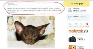 Шахрайство в сфері купівлі продажу тварин (продаж тварин) Шахрайство в сфері купівлі продажу тварин