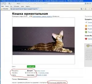 Шахрайство в сфері купівлі продажу тварин (продаж тварин) Шахрайство в сфері купівлі продажу тварин