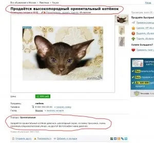 Шахрайство в сфері купівлі продажу тварин (продаж тварин) Шахрайство в сфері купівлі продажу тварин