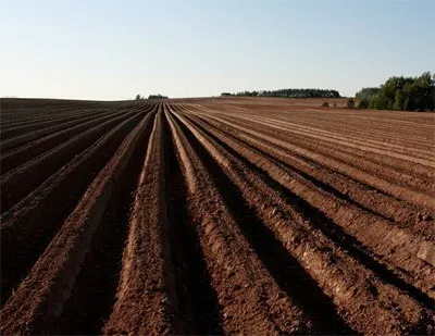 Мораторій на продаж землі в Україні скасувати не можна продовжити (Україна) Мораторій на продаж землі в Україні скасувати не можна продовжити