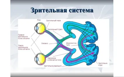 Монокулярний зір що це таке, лікування пов'язками диплопии, зорових аберації, відблисків (таке) Монокулярний зір що це таке, лікування пов'язками диплопии, зорових аберації, відблисків