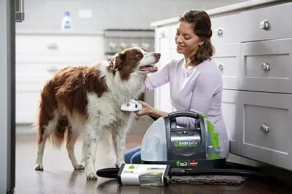 Миючий пилосос для собак bark bath купити, ціни, відгуки, фото, відео (собак) Миючий пилосос для собак bark bath купити, ціни, відгуки, фото, відео