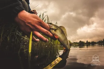 Мормодроч або мормоспіннінг