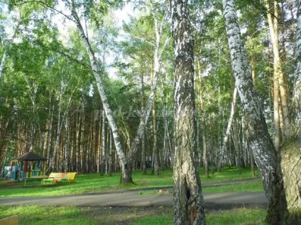 Моя Батьківщина