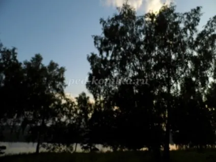 Моя Батьківщина