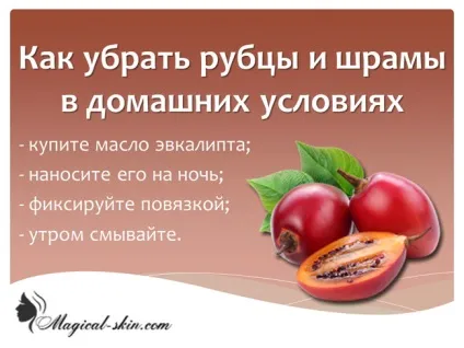 Чи може залишитися шрам на губі після травми (може залишитися шрам губа прибрати травма герпес розсмоктати лазер операція позбутися скільки заживає розсічення видалити шов удар верхня застуда) Чи може залишитися шрам на губі після травми