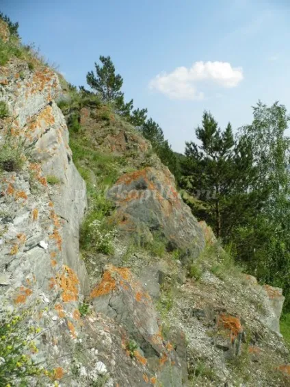 Моя Батьківщина