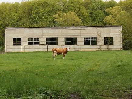 Умиращият руски село - новини Курск и Белгород - микрона Chernozemye