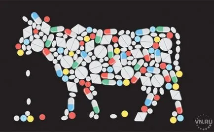 Hogyan válasszuk ki a húsmentes antibiotikumok és hormonok