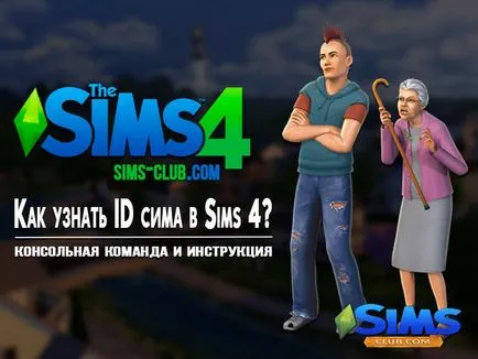 Cum pot afla ID-ul SIM în sims 4, ghiduri pentru The Sims 4