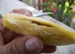 Cum să crească un mango