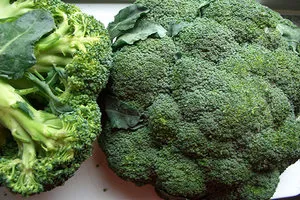 Cum să crească broccoli în grădină pe un teren deschis