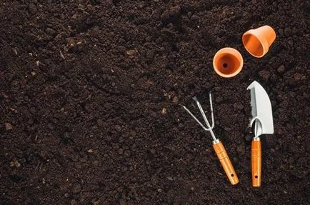 Cum vă decontamina solul pentru răsaduri