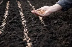 Mivel a Szovjetunióban nevű elődje a gazdasági bűncselekmények