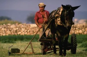 Așa cum am realizat un studiu de marketing pe stradă, idei de afaceri de la 0 la profituri