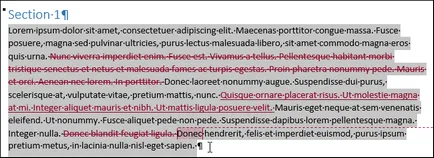 Ca și în 2013 cuvânt copiați și inserați text cu corecturi