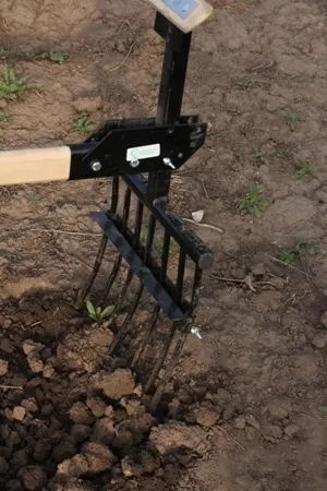 Burgonya (farmer), vásárolni eszközöket a kert és konyhakert krumpli (farmer)