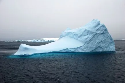 În cazul în care vara Antarctica