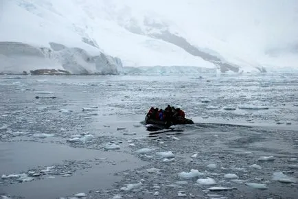 Amikor az antarktiszi nyár