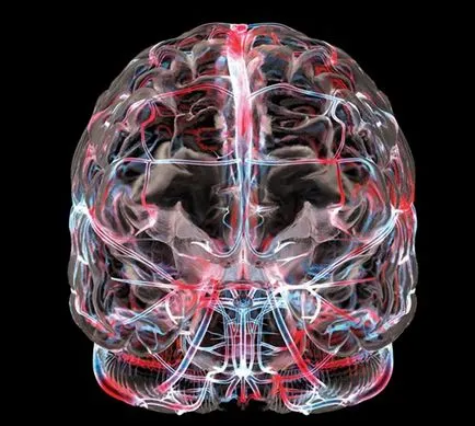 Компютърна томография на мозъка в Москва, цена и клиники, където правят
