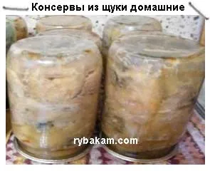 Консерви щука