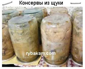 Консерви щука