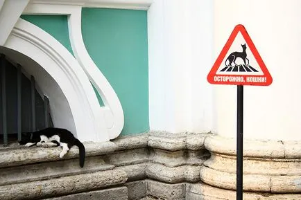 Коти блокадного Ленінграда