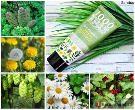 Cremă de picioare ierburi Hrănirea 1000 - „crema hranitoare buget pentru picioare 1000 de plante aromatice, cu foarte