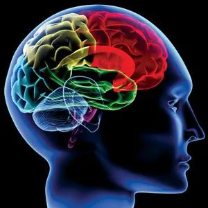 CT на мозъка показания и противопоказания