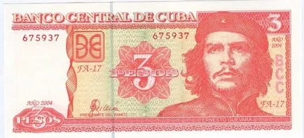 Кой си ти Comandante Che