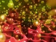 Чи можна заразитися виразкою шлунка як передається що є причиною передачі хвороби (шлунка) Чи можна заразитися виразкою шлунка як передається що є причиною передачі хвороби