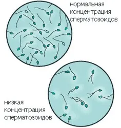 На що впливає хламідіоз і до чого призводять хламідії (хламідіоз) На що впливає хламідіоз і до чого призводять хламідії
