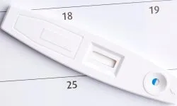 Чи можна завагітніти під час місячних короткий і довгий цикл