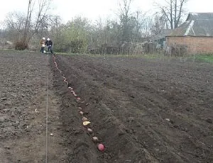 На яку глибину садити картоплю, відстань між країнами відео (глибину) На яку глибину садити картоплю, відстань між країнами відео