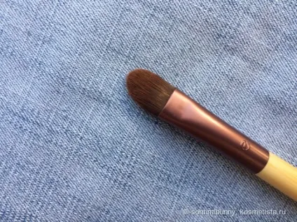Набір кистей для макіяжу ecotools 6-piece brush set відгуки (6-piece) Набір кистей для макіяжу ecotools 6-piece brush set відгуки