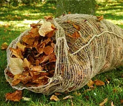 Leaf talajtakaró lehullott őszi levelek