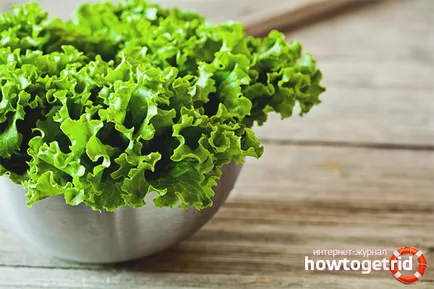 Salata verde - beneficii și efecte dăunătoare asupra sănătății organismului